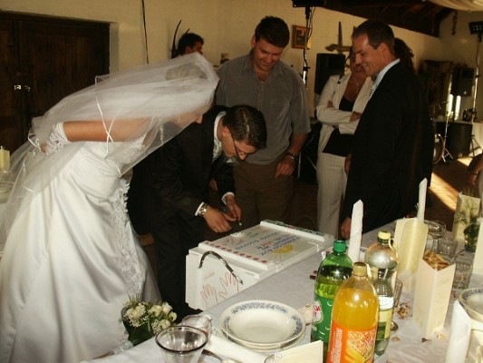 232hochzeitungarnbernimoni2007.jpg