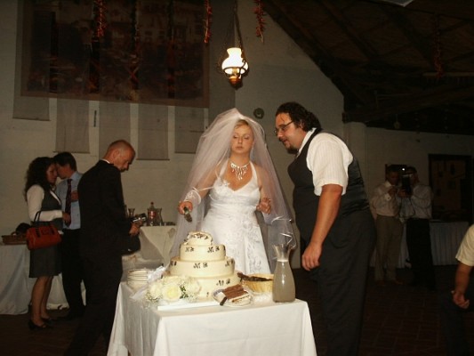 391hochzeitungarnbernimoni2007.jpg